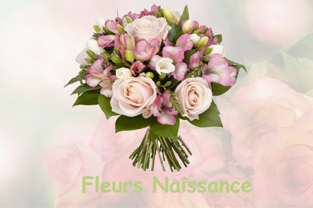 fleurs naissance CHARMES-LA-GRANDE